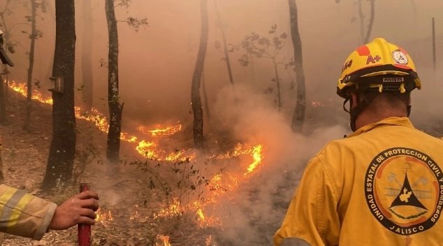 Detienen en Jalisco a sujeto justo cuando provocaba incendio forestal