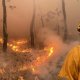 Disminuye número de incendios forestales; reporta Conafor 99 activos