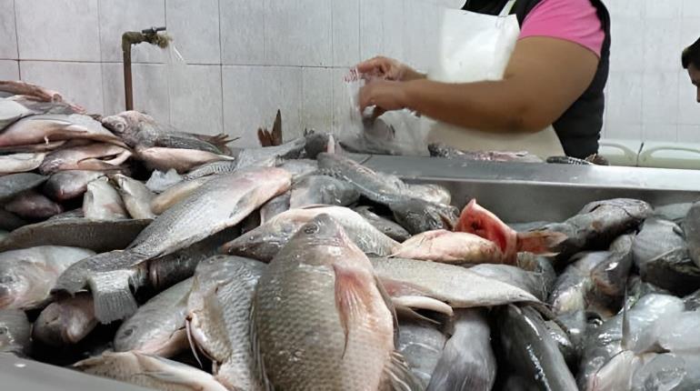 IMSS Tabasco da recomendaciones para manejo de pescados y mariscos en temporada de calor