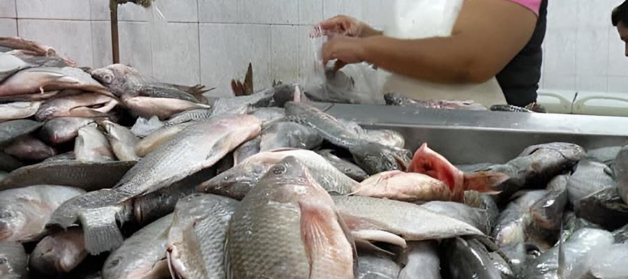 IMSS Tabasco da recomendaciones para manejo de pescados y mariscos en temporada de calor