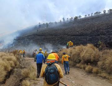 Atienden 116 incendios forestales en México, reporta AMLO 