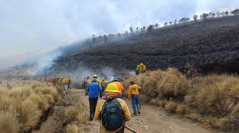 4 muertos por incendios forestales en México, reporta gobierno