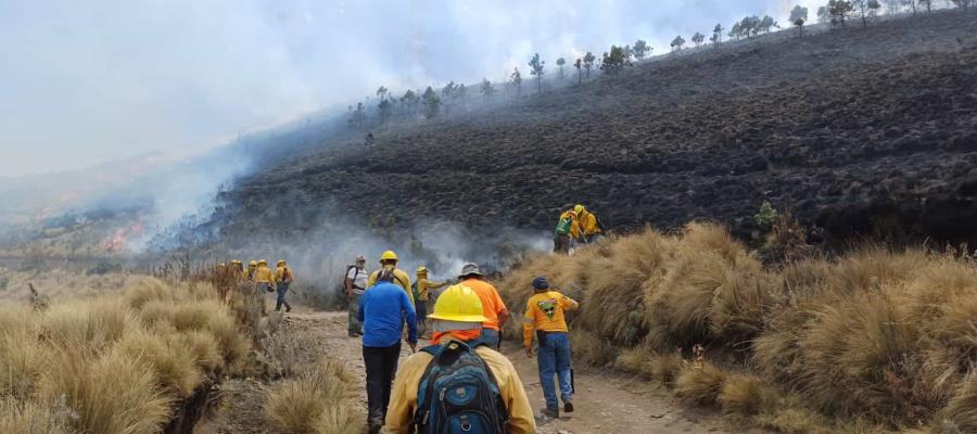 4 muertos por incendios forestales en México, reporta gobierno