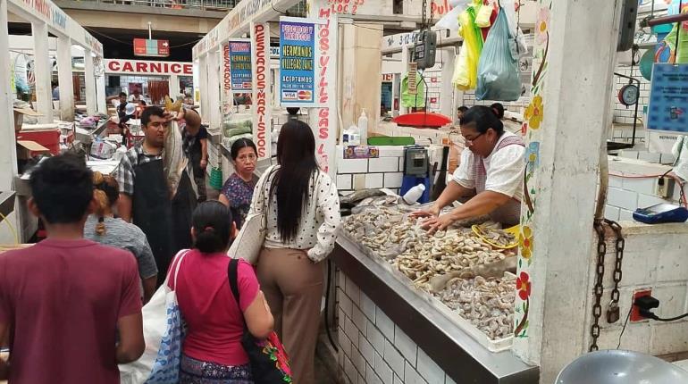 Lucen abarrotados locales de pescados y mariscos del Pino Suárez