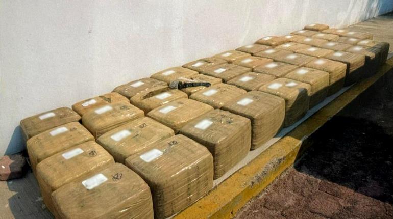 Sentencian a hombre que transportaba casi media tonelada de marihuana en Guerrero