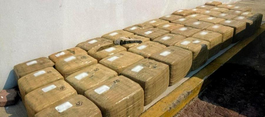 Sentencian a hombre que transportaba casi media tonelada de marihuana en Guerrero