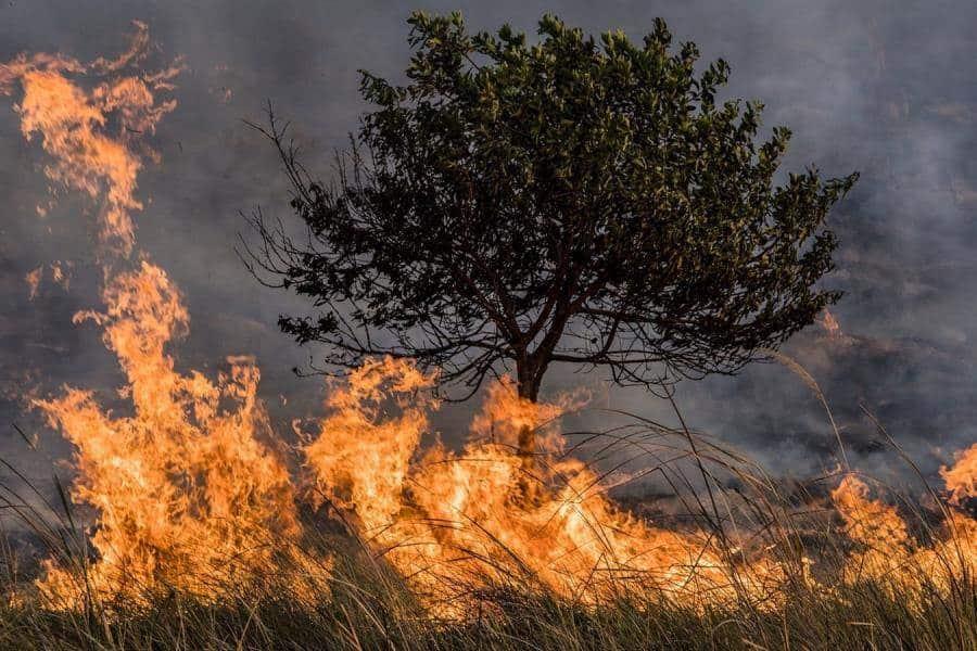 Aumentan incendios forestales en el país; ajustan 71 activos, según Conafor