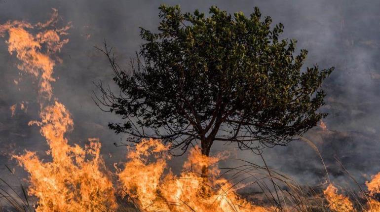 Sigue en aumento número de incendios activos en el país