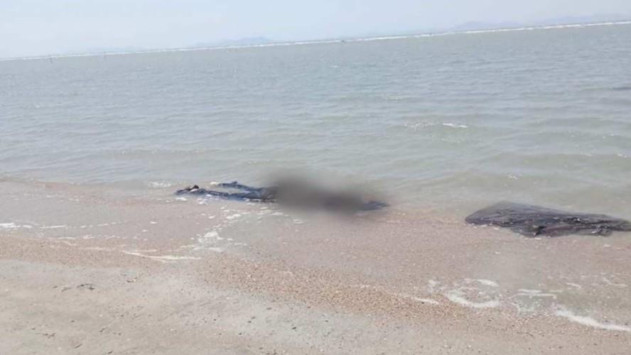 Asiáticos hallados en playa de Oaxaca murieron tras voltearse embarcación: Fiscalía