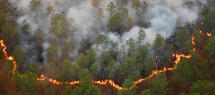 133 incendios forestales se mantienen activos en 18 estados de México