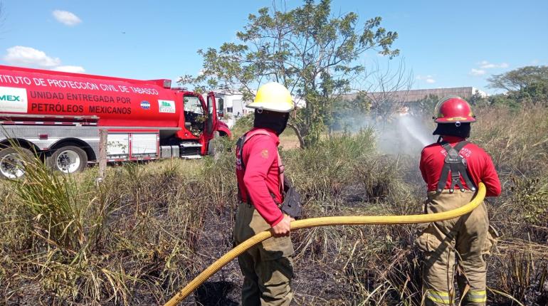 Propone Morena sancionar hasta con 25 años de prisión a quien provoque incendio forestal