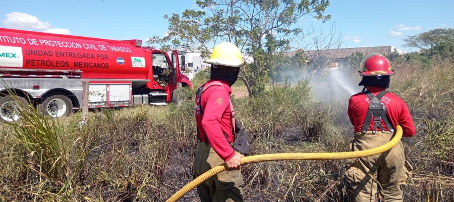 Propone Morena sancionar hasta con 25 años de prisión a quien provoque incendio forestal