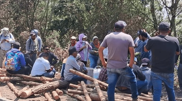 Incendios en Veracruz afectan a dos mil campesinos y casi mil hectáreas de cultivos