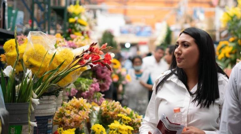 OPLE de Guanajuato no brindó protección a candidata de Morena, porque aún no iniciaban campañas: SSPC