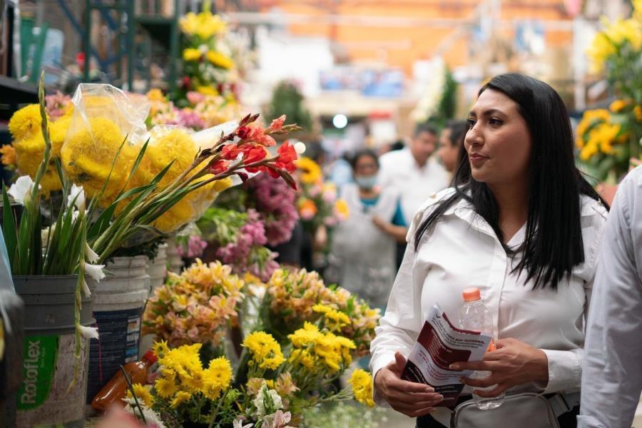 OPLE de Guanajuato no brindó protección a candidata de Morena, porque aún no iniciaban campañas: SSPC