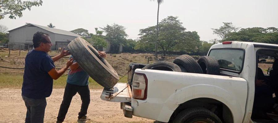 Elimina Salud más de 800 toneladas de cacharros en campaña de lucha contra el dengue