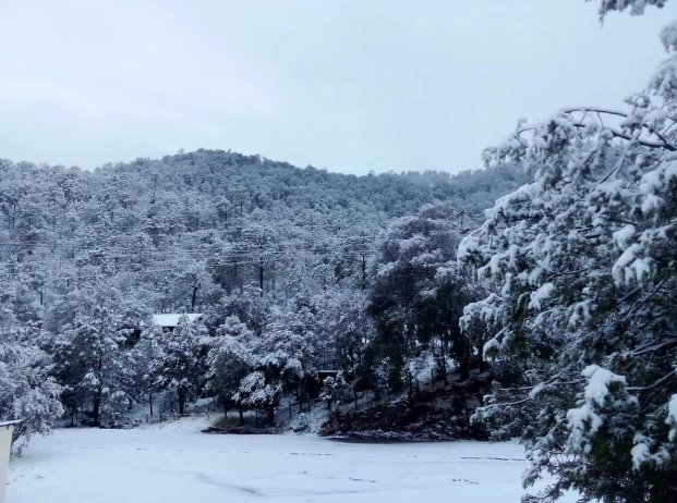 Tormenta invernal y Frente Frío 43 dejan nevadas en Chihuahua