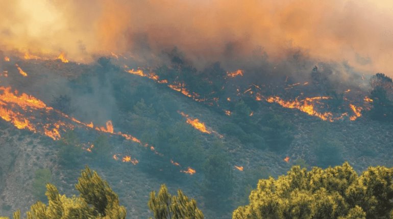 Incendio en Área Natural Protegida de Tabasco, reporta Conafor