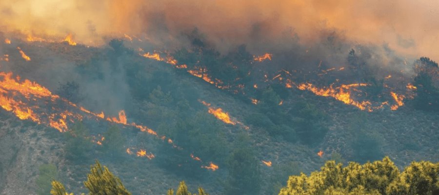 Incendio en Área Natural Protegida de Tabasco, reporta Conafor