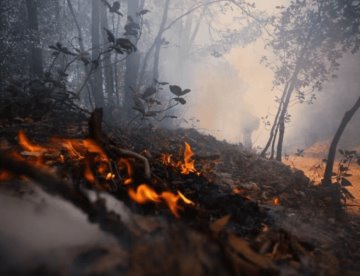 Por incendios, suspenden clases en Acapulco y Chilpancingo, Guerrero 