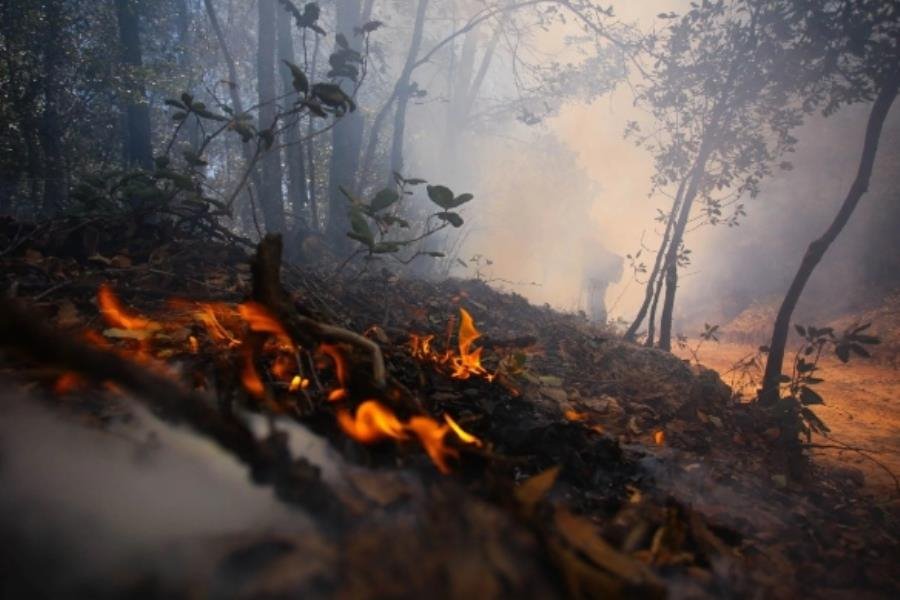 Conafor reporta 71 incendios activos en 19 estados