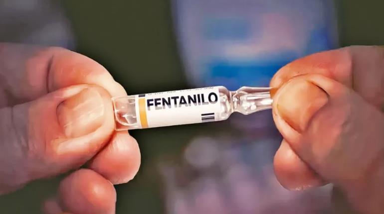 430 atenciones por intoxicación con fentanilo se registraron en hospitales de México en 2023 reporta sector Salud