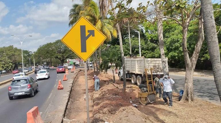 Realizan "enésimas" adecuaciones en distribuidor Universidad; ahora incluye árboles