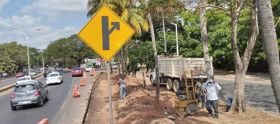 Realizan "enésimas" adecuaciones en distribuidor Universidad; ahora incluye árboles