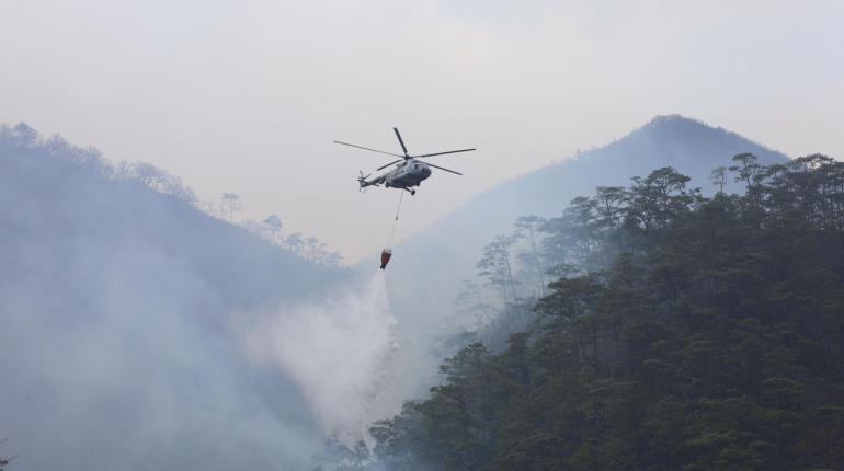 Dar a conocer incendios en basureros, sitios confinados y rellenos sanitarios en México, ordena INAI a Profepa