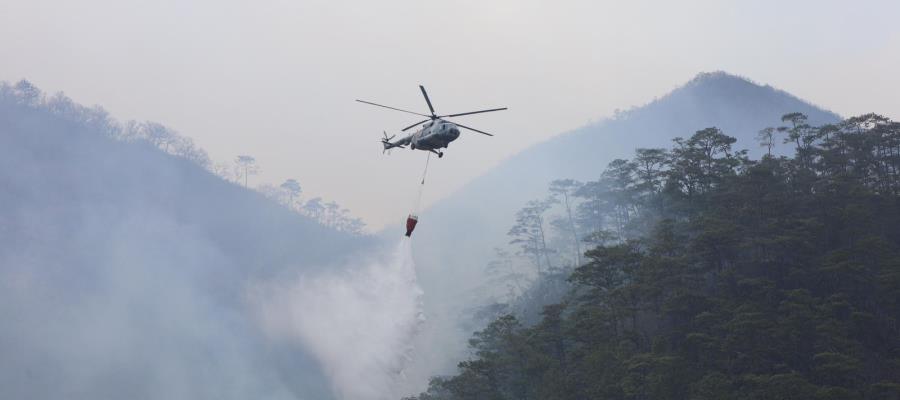 Dar a conocer incendios en basureros, sitios confinados y rellenos sanitarios en México, ordena INAI a Profepa