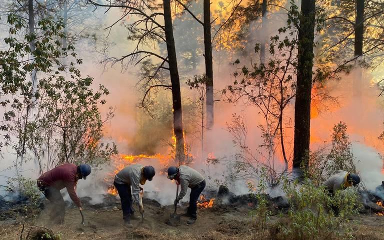 Urge Marcela Guerra destinar fondo emergente para frenar daño de 73 incendios activos en el país