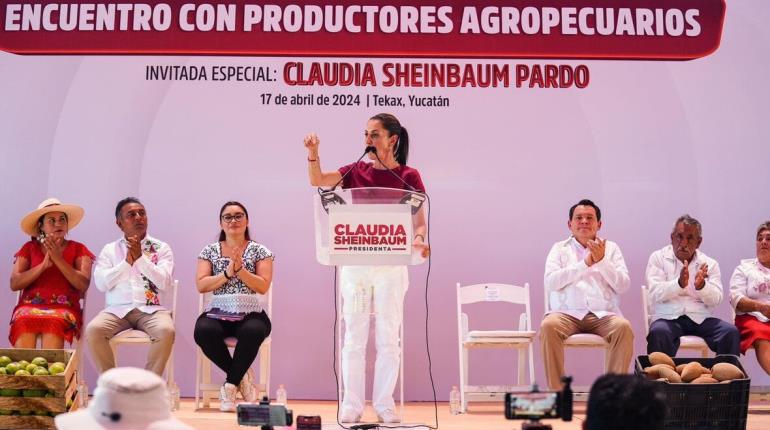 Sheinbaum enviará carta a CFE y Conagua para que atiendan a campesinos en Yucatán