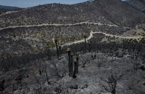 Por sequía, Michoacán bombardeará nubes para generar lluvias en 6 millones de hectáreas