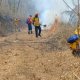 En Oaxaca se castigaría con hasta 30 años de prisión incendios forestales provocados