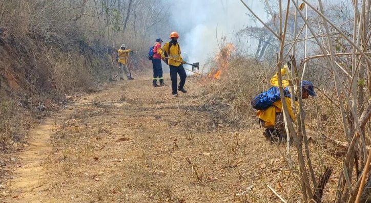 En Oaxaca se castigaría con hasta 30 años de prisión incendios forestales provocados