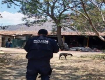 Muere niño de 2 años tras ataque de perro en Tuxpan, Jalisco