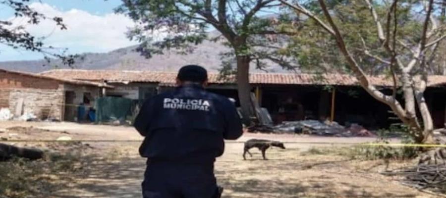 Muere niño de 2 años tras ataque de perro en Tuxpan, Jalisco