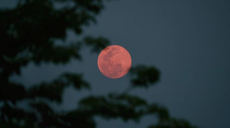 Sorprende "Luna Rosa" de abril