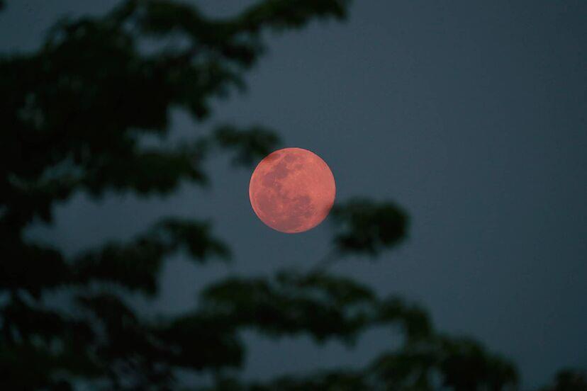 Sorprende "Luna Rosa" de abril