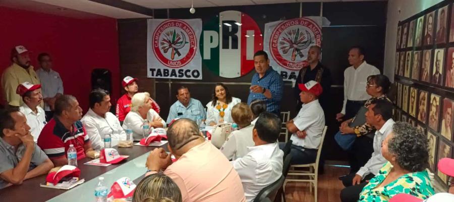 Ocuparse de la seguridad de Tabasco y evitar influir en elecciones: PRI a Obrador