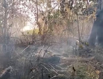 Incendio en Laguna de El Negro;  vecinos de Casa Blanca se movilizan para contener las llamas