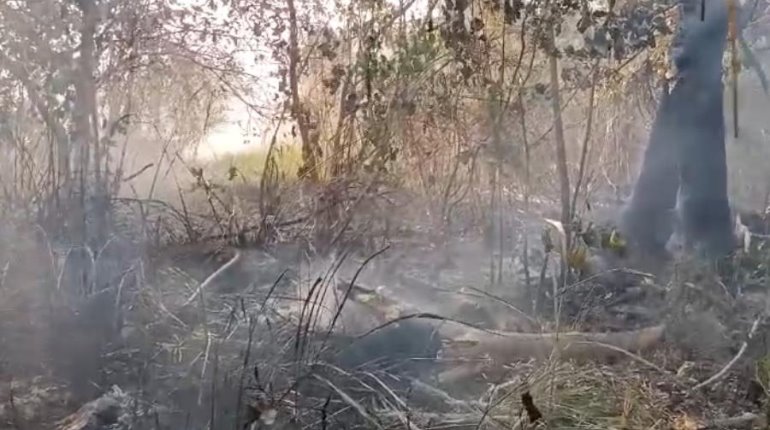 Incendio en Laguna de El Negro;  vecinos de Casa Blanca se movilizan para contener las llamas