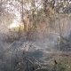 Se desata incendio en Laguna de El Negro; vecinos de Casa Blanca luchan para contener las llamas