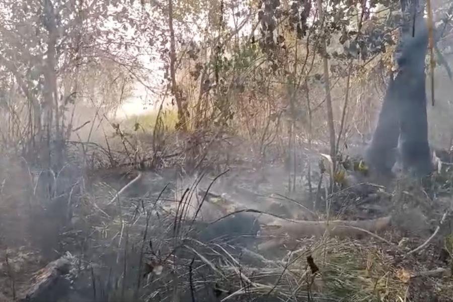 Incendio en Laguna de El Negro;  vecinos de Casa Blanca se movilizan para contener las llamas