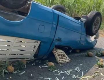 Muere conductor tras volcadura de camioneta cargada de piñas 