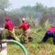 Suman en Paraíso 134 incendios combatidos en esta temporada de calor