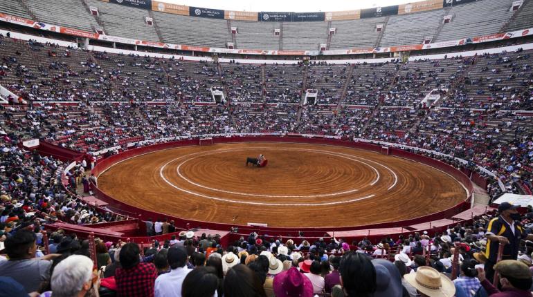 Aplazan audiencia sobre el futuro de las corridas de toros en CDMX