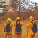 Incendio forestal afecta 590 hectáreas en la Sierra Gorda de Guanajuato