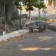 Graban a cocodrilo en calles de Progreso, Yucatán; luego lo capturan