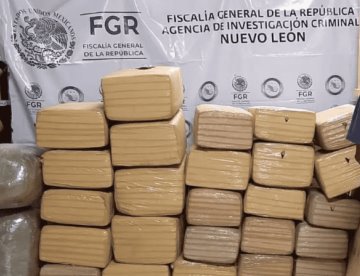Detienen en Nuevo León a sujeto con 340 kilos de marihuana